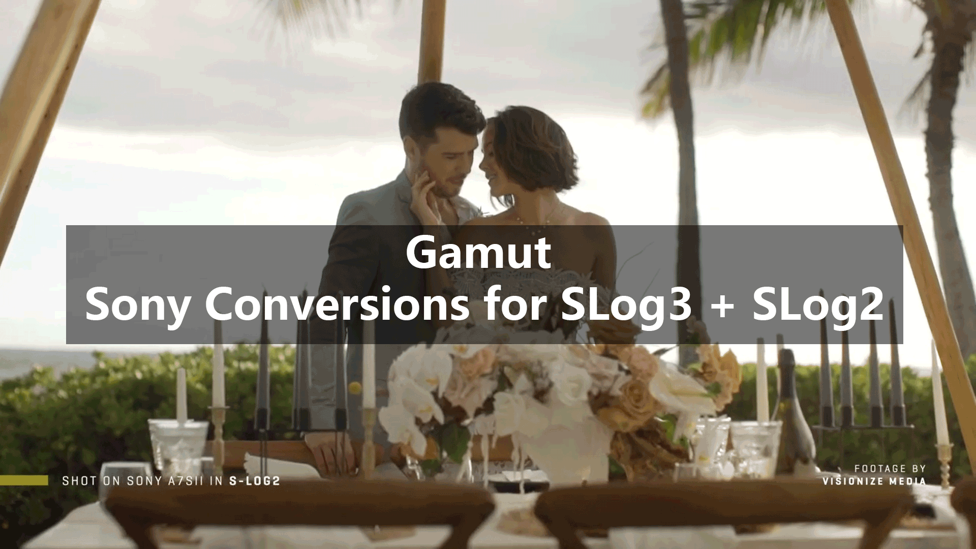 Gamut 高级索尼相机转换LUT调色预设包 Sony Conversions for SLog3 &#038; SLog2（6250） -