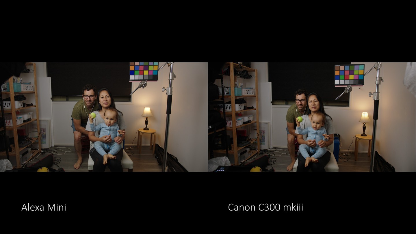 Phantom LUTs - Canon LUTs 佳能C-Log2、C-Log3转阿莱胶片色彩商业LUT调色预设包 Joel Famularo Phantom LUTs for Canon Cinema Cameras（7176） -