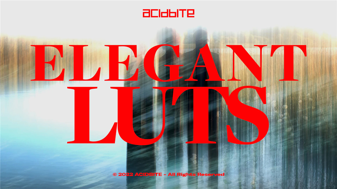 Acidbite 556个高级时尚浪漫唯美柔光婚礼视频风格化LUT调色预设 ELEGANT LUTS（7665） -