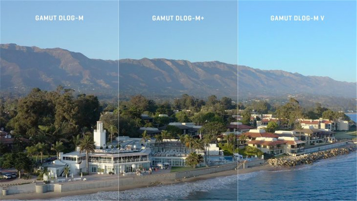 Gamut 大疆DLog-M色彩还原LUT调色预设 DJI Conversion LUTs for DLog-M（7751） -