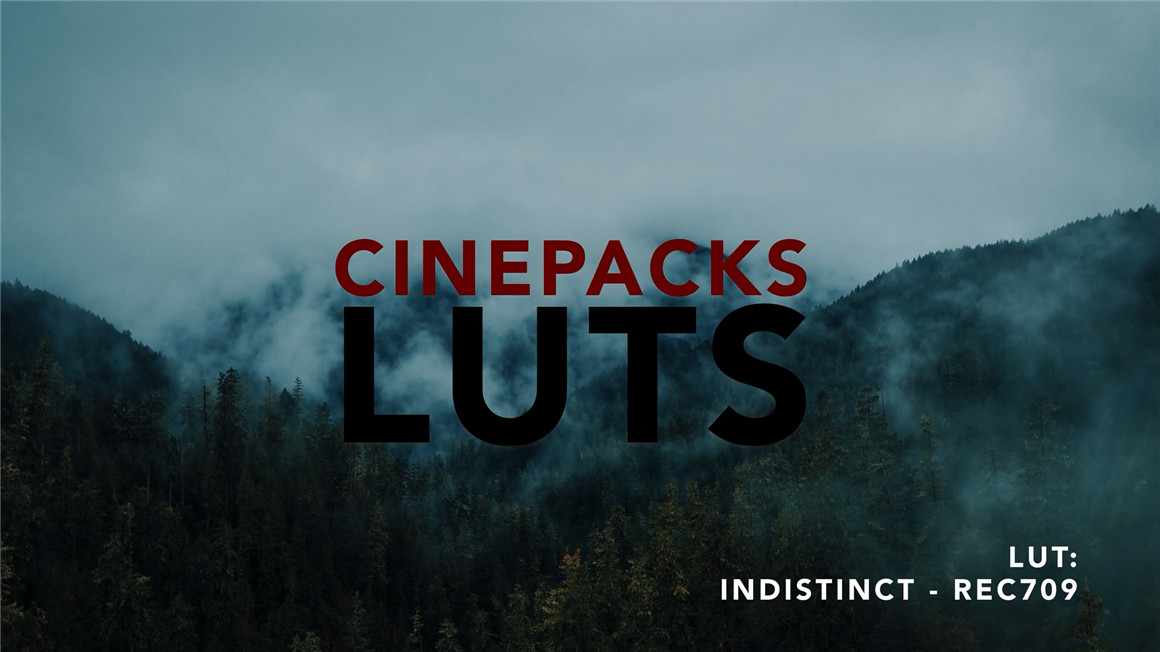 CINEPACKS 30个高品质电影电影外观色彩分级LUT调色预设包 CINEPACKS LUTS（8019） -