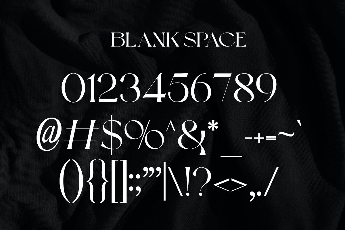 英文字体：现代复古杂志品牌广告设计无衬线字体 Blank Space | Modern Display（8262） -