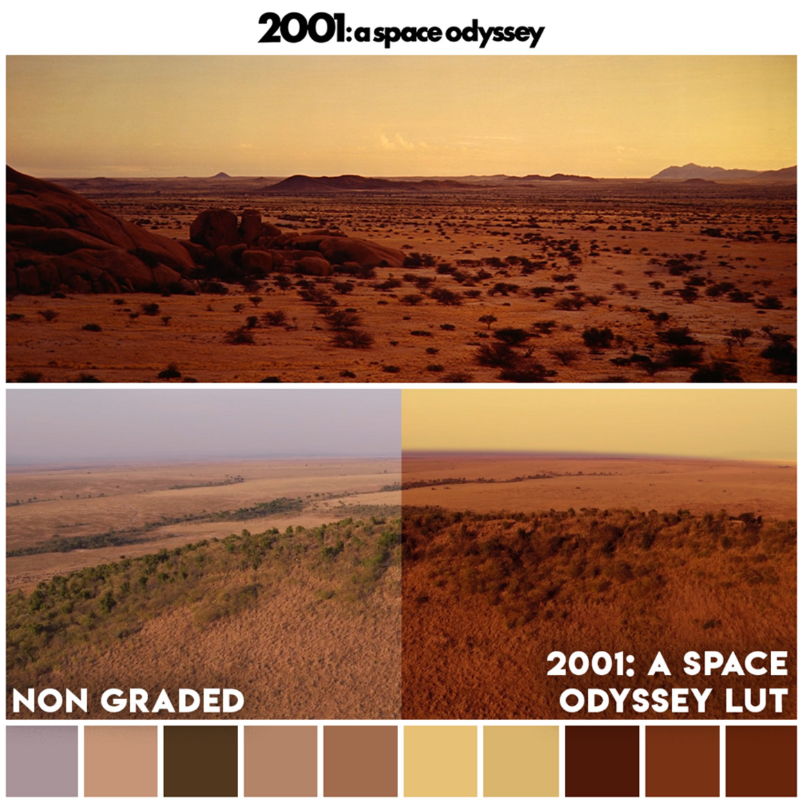 《太空漫游》好莱坞电影颜色分级LUT调色预设 Movie LUTs - 2001 A Space Odyssey LUTs（8603） -