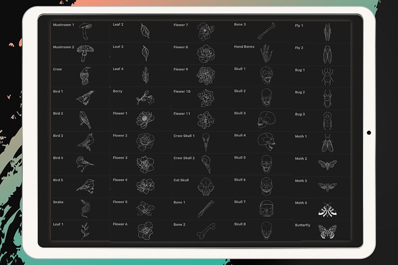 50个刺青纹身图案Procreate笔刷 - 笔刷下载 -