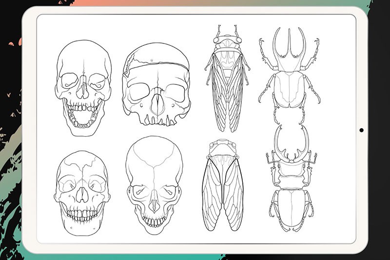 50个刺青纹身图案Procreate笔刷 - 笔刷下载 -