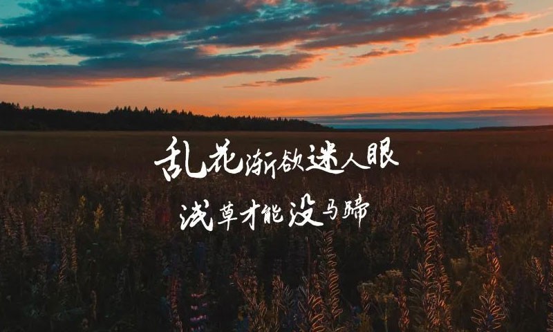 云峰字库3款免商书法字体 - 字体下载 -