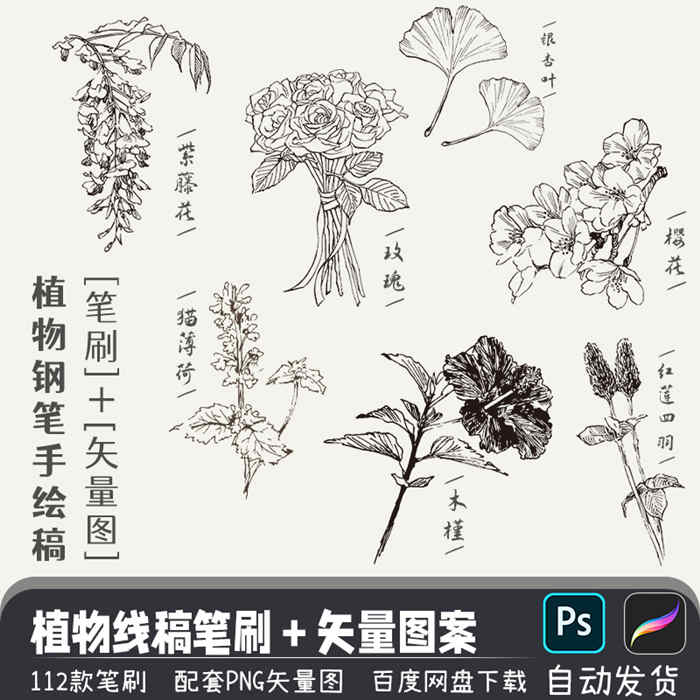 花草植物钢笔手绘描线稿PS笔刷procreate画笔附带AI矢量图案素材_