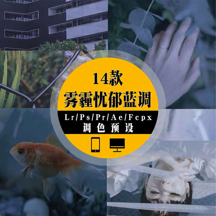 LR预设日系电影忧郁蓝GR蓝紫色PS调色PR/FCPX达芬奇AE手机LUT滤镜_