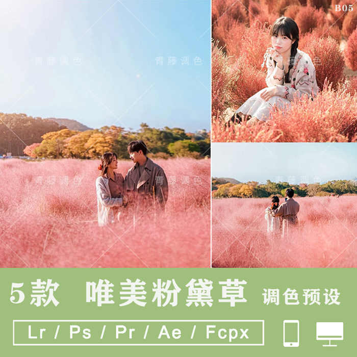 lightroom预设PS古风粉色梦幻粉黛乱子草写真LR手机滤镜PR调色LUT_