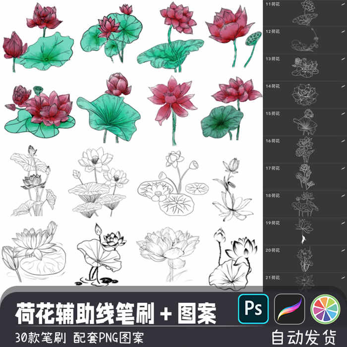 中式古典荷花荷叶造型辅助线稿PS/SAI2笔刷预设procreate画笔素材_