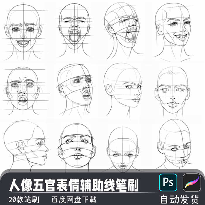 新手人像五官多面向表情辅助线procreate画笔预设PS笔刷插画素材_