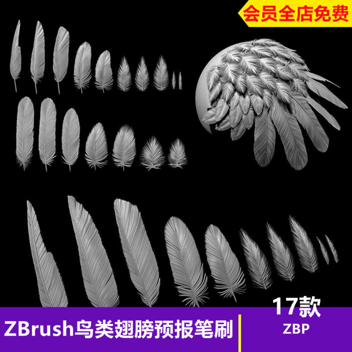 ZBrush鸟类羽毛翅膀雕刻zb笔刷鸟类翅膀老鹰麻雀翅膀IMM雕刻细节_