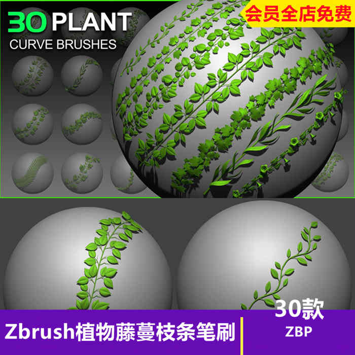 Zbrush植物藤蔓花朵树叶子zb曲线笔刷zb叶子笔刷zb树枝zb雕刻笔刷_