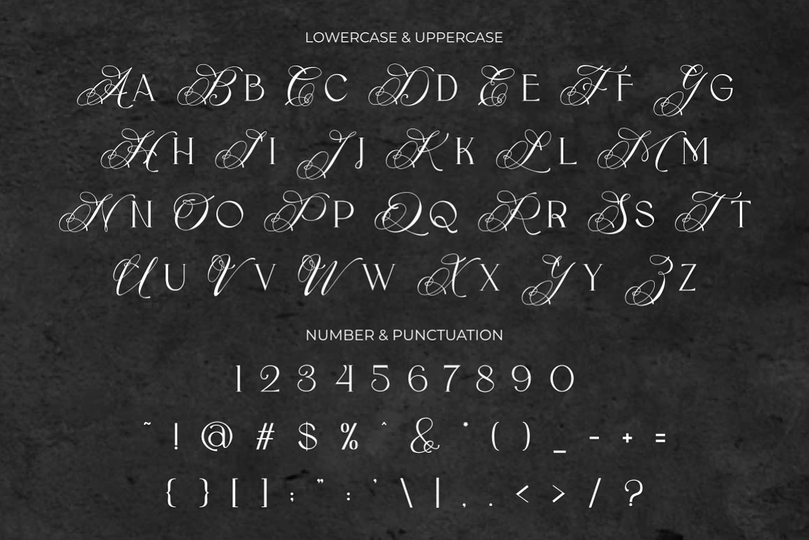 英文字体：现代优雅奢华婚礼邀请函杂志海报标题LOGO徽标设计PSAI衬线字体 Flece Display – Modern Sans Font（9067） -