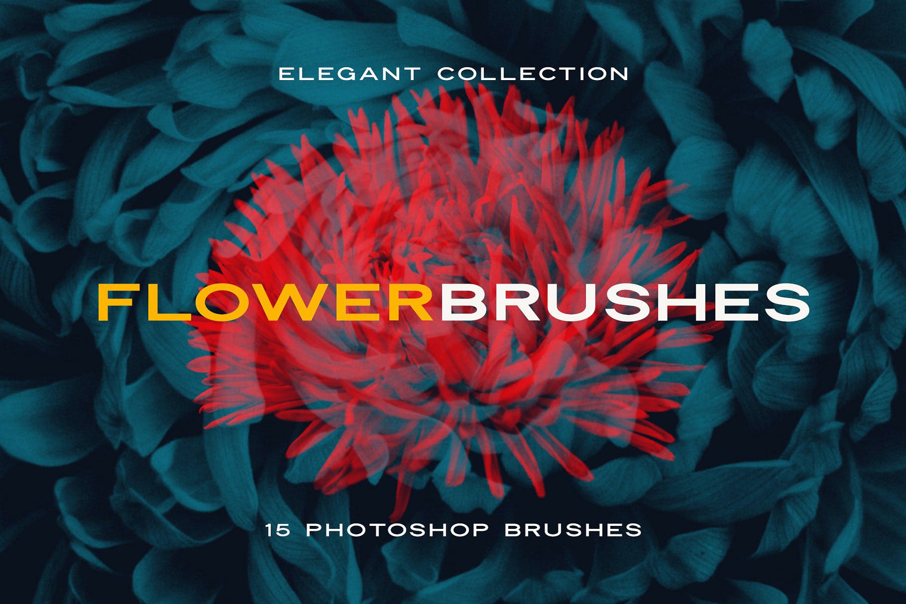 复古风创意玫瑰紫丁香花卉笔刷PS画笔笔刷素材 Elegant Flower Brushes for Photoshop