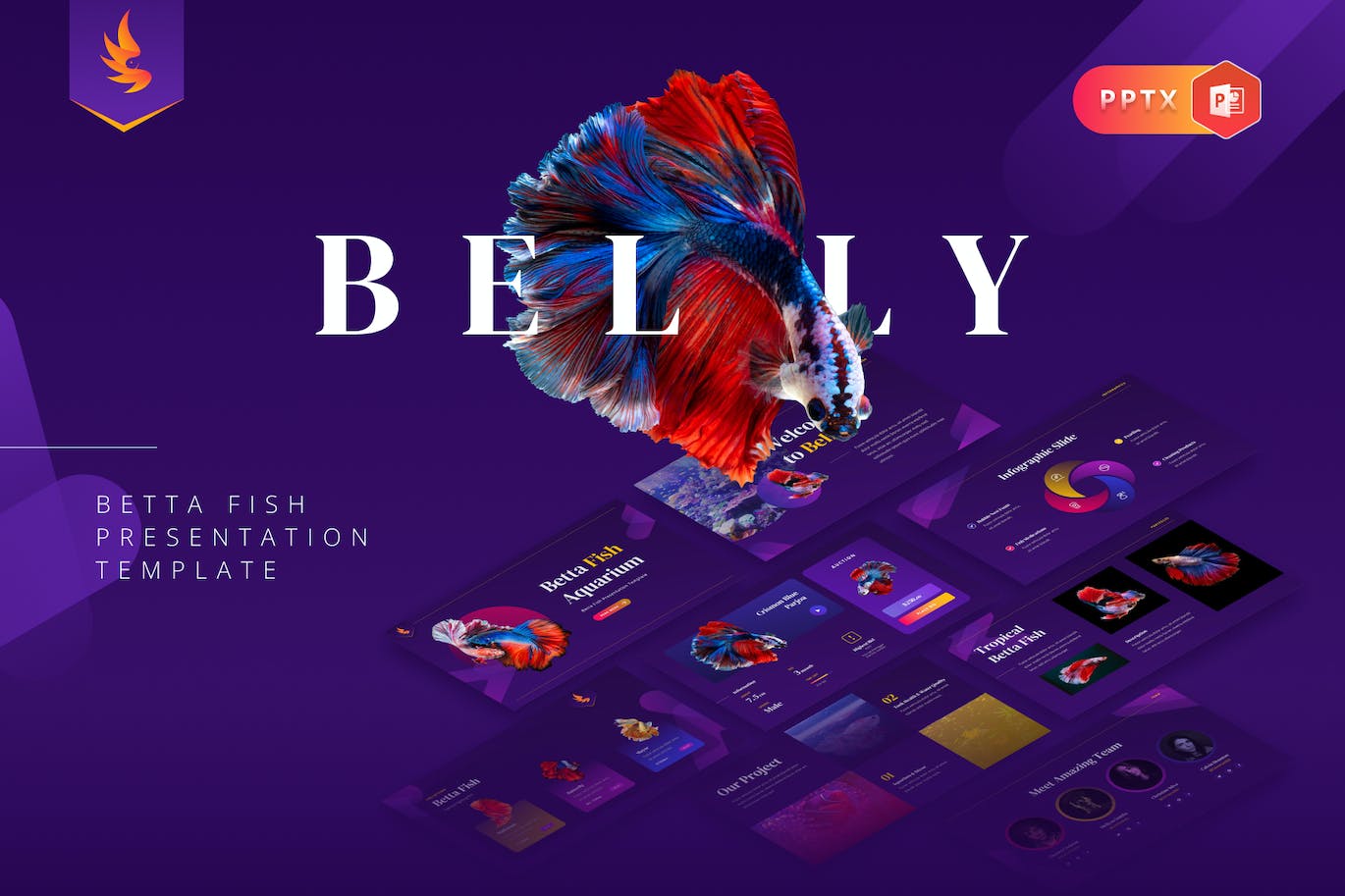 斗鱼鱼类展示PPT演示幻灯片模板 Belly &#8211; Betta Fish Powerpoint Template