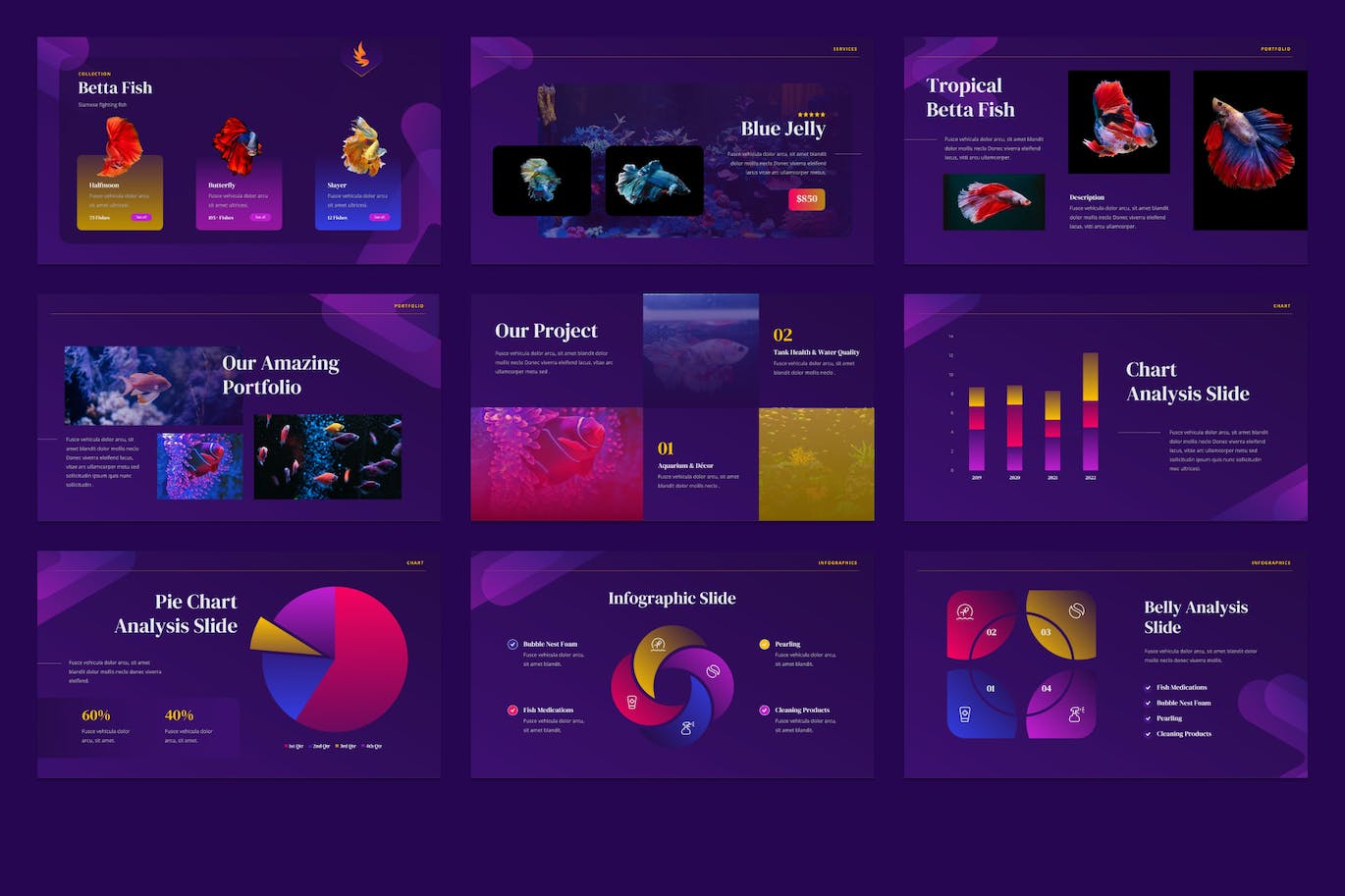 斗鱼鱼类展示PPT演示幻灯片模板 Belly &#8211; Betta Fish Powerpoint Template