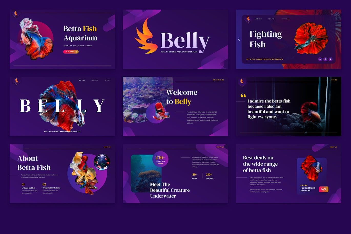 斗鱼鱼类展示PPT演示幻灯片模板 Belly &#8211; Betta Fish Powerpoint Template