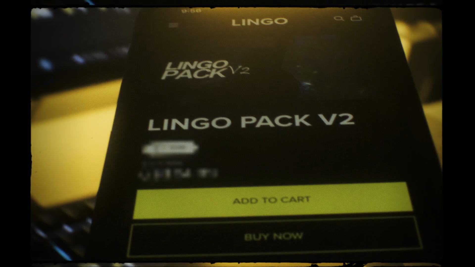 300个嘻哈说唱画面摇晃旋转定格运动AE预设效果包 LINGO PACK V2（9222） -