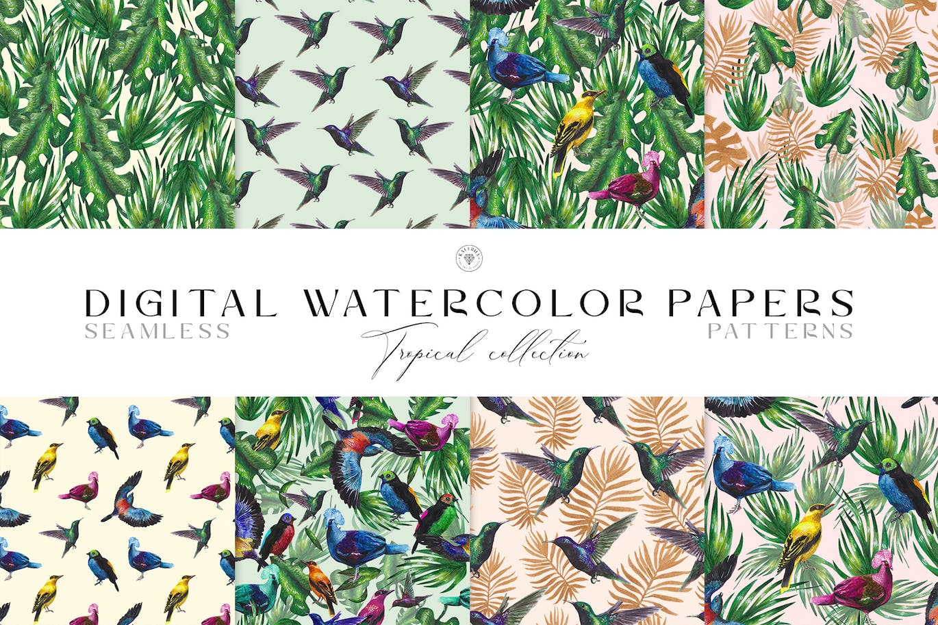 热带鸟类水彩图案 Tropical Birds Watercolor Patterns