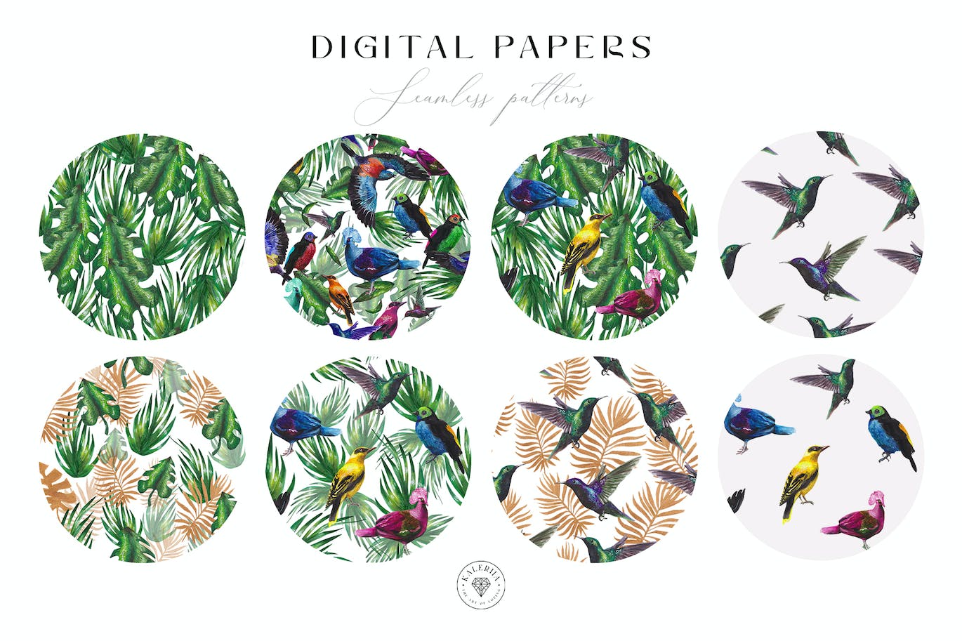 热带鸟类水彩图案 Tropical Birds Watercolor Patterns