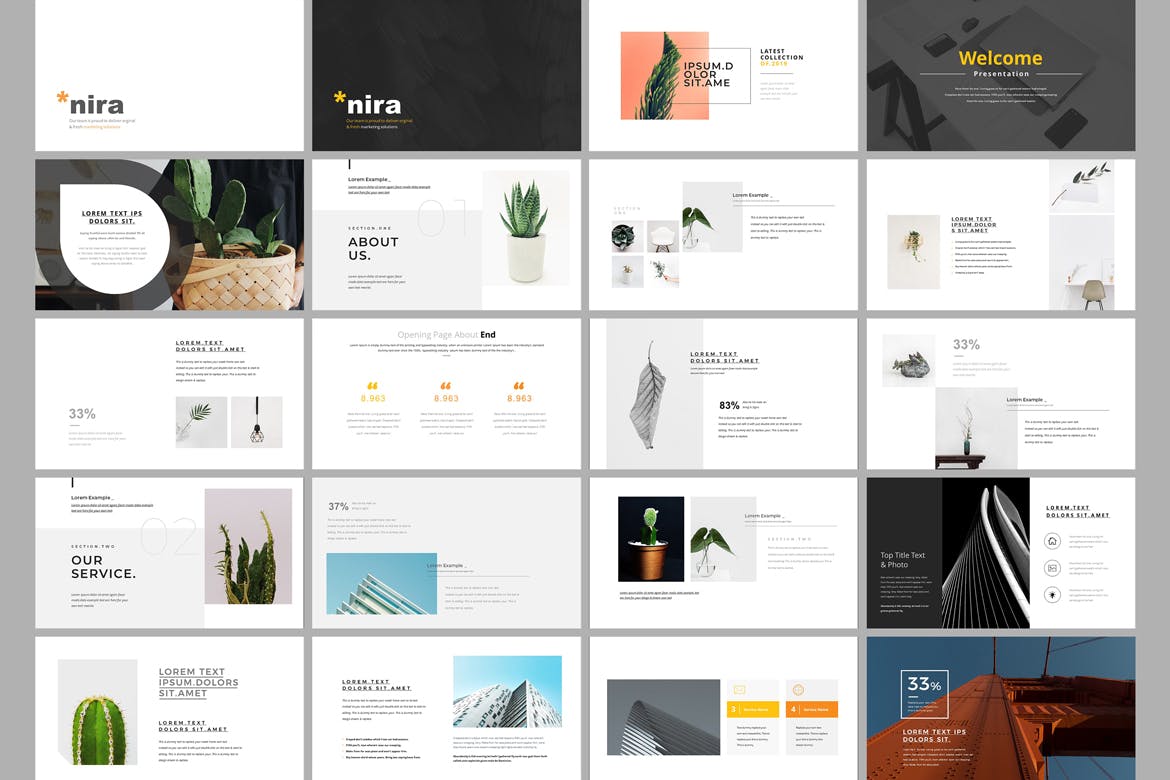 盆栽艺术展示谷歌幻灯片设计模板 Nira &#8211; Google Slides Presentation Template