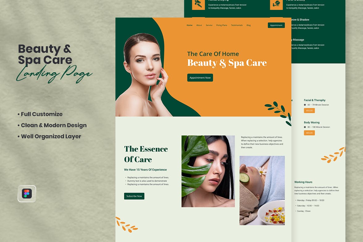 美容水疗护理网站着陆页模板 Beauty &amp; Spa Care Landing Page &#8211; Mina