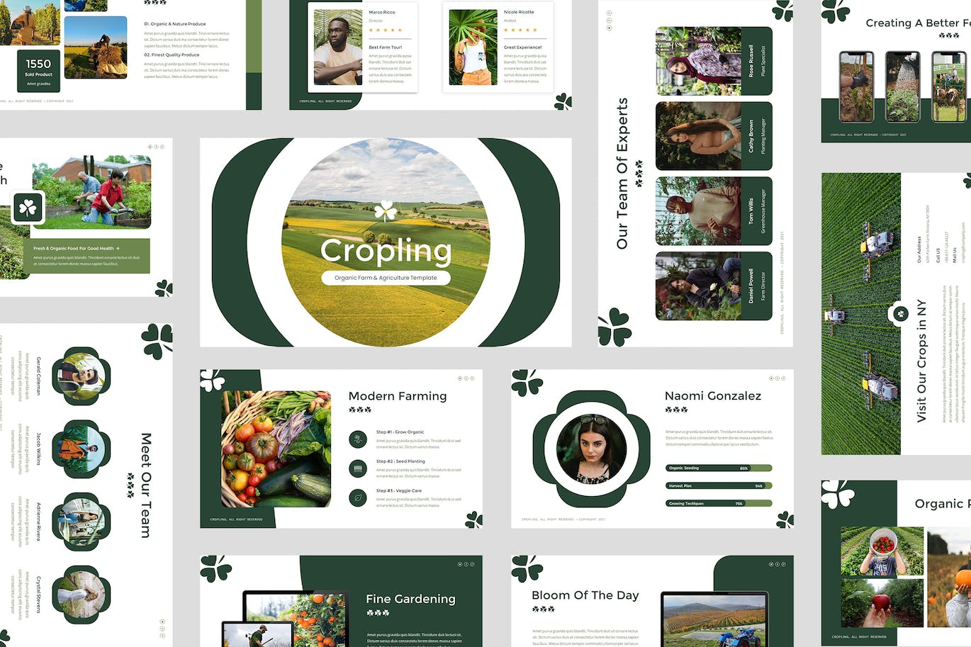 有机农场和农业主题Google幻灯片模板下载 Cropling – Farm &amp; Agriculture Google Slides