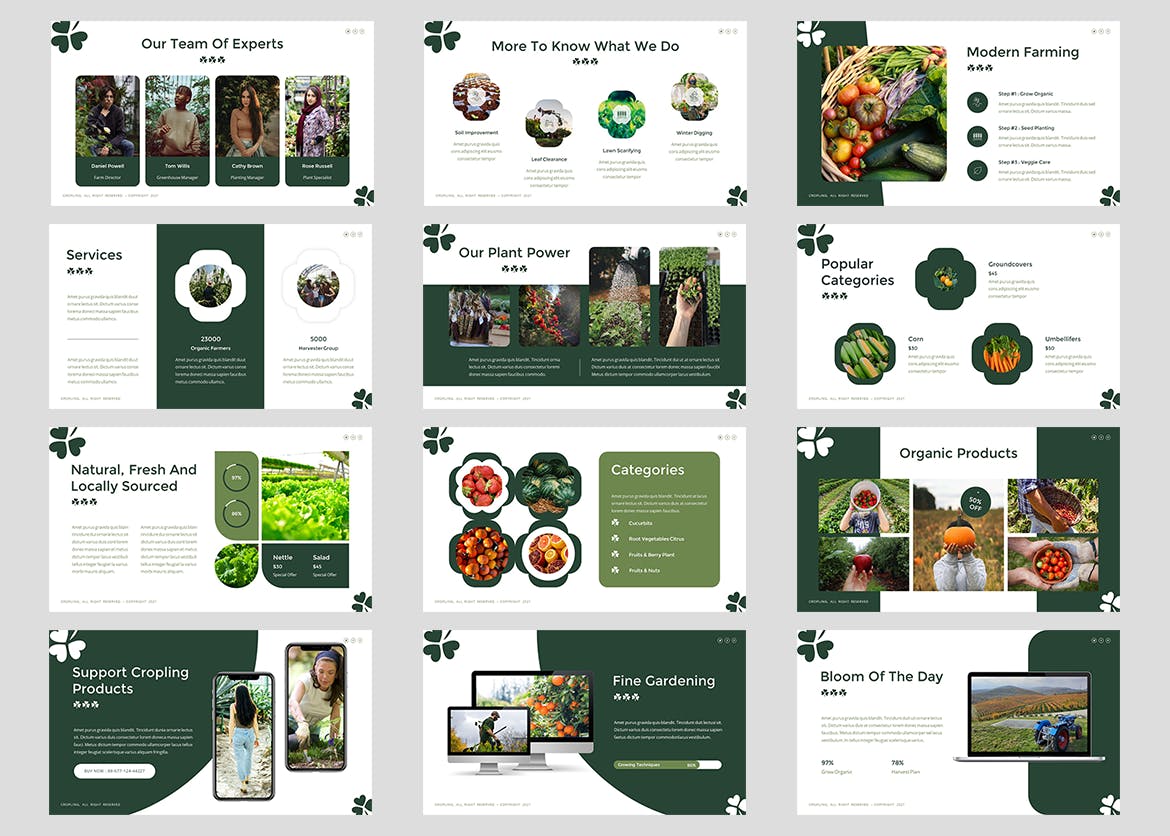 有机农场和农业主题Google幻灯片模板下载 Cropling – Farm &amp; Agriculture Google Slides