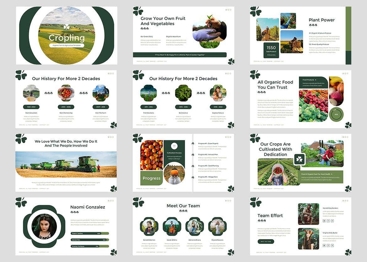 有机农场和农业主题Google幻灯片模板下载 Cropling – Farm &amp; Agriculture Google Slides