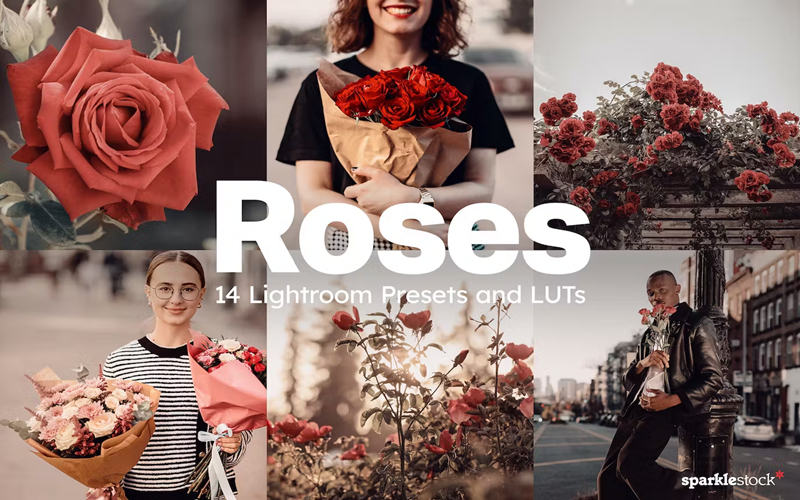 优雅玫瑰Lightroom预设和视频调色Luts预设 14 Roses_