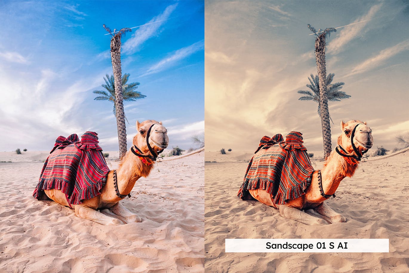 20 个迪拜旅行照片调色 Lightroom 预设和 LUT 20 Dubai Lightroom Presets and LUTs