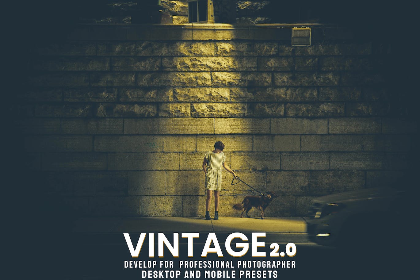 复古照片风格LR预设 Vintage &#8211; Desktop and Mobile Presets (v2)