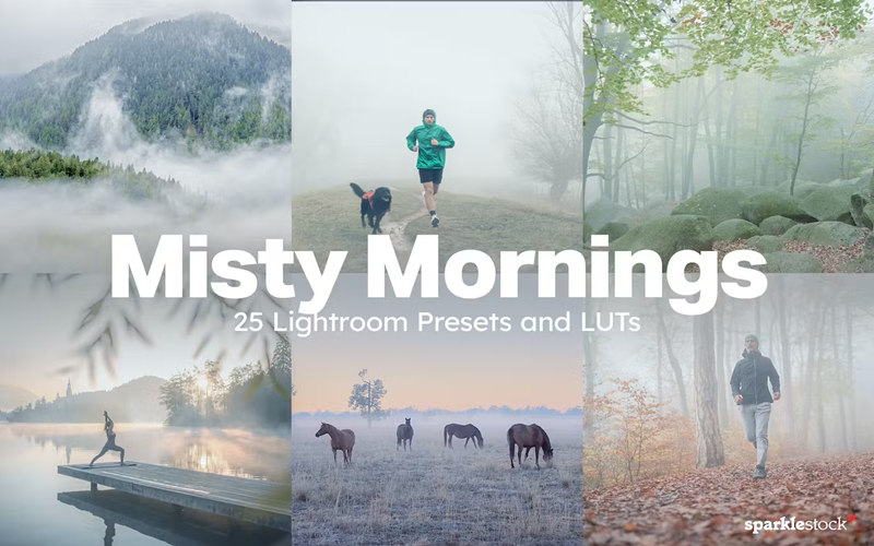 早晨雾气Lightroom预设和视频调色Luts预设 25 Misty Mornings_