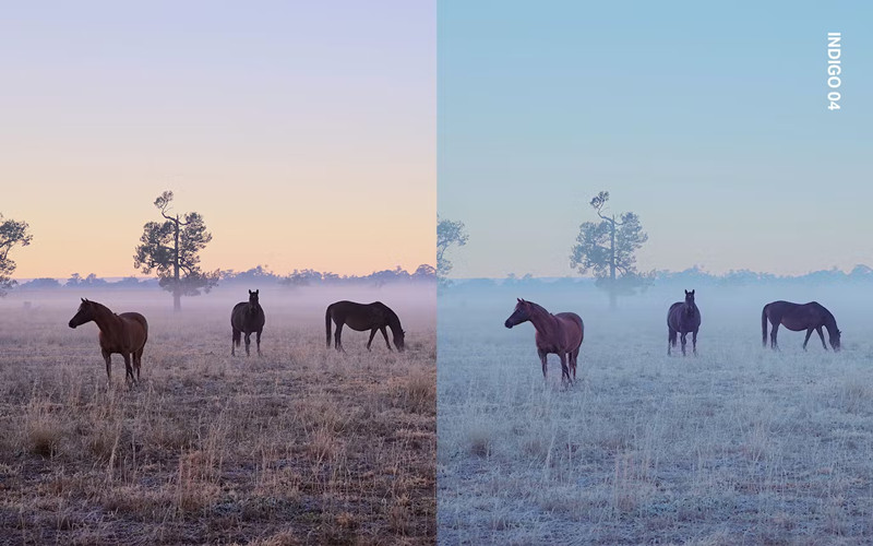 早晨雾气Lightroom预设和视频调色Luts预设 25 Misty Mornings_