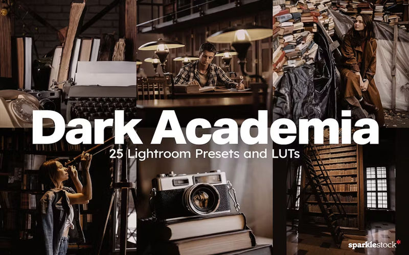 黑暗环境Lightroom预设和视频调色Luts预设 25 Dark Academia_