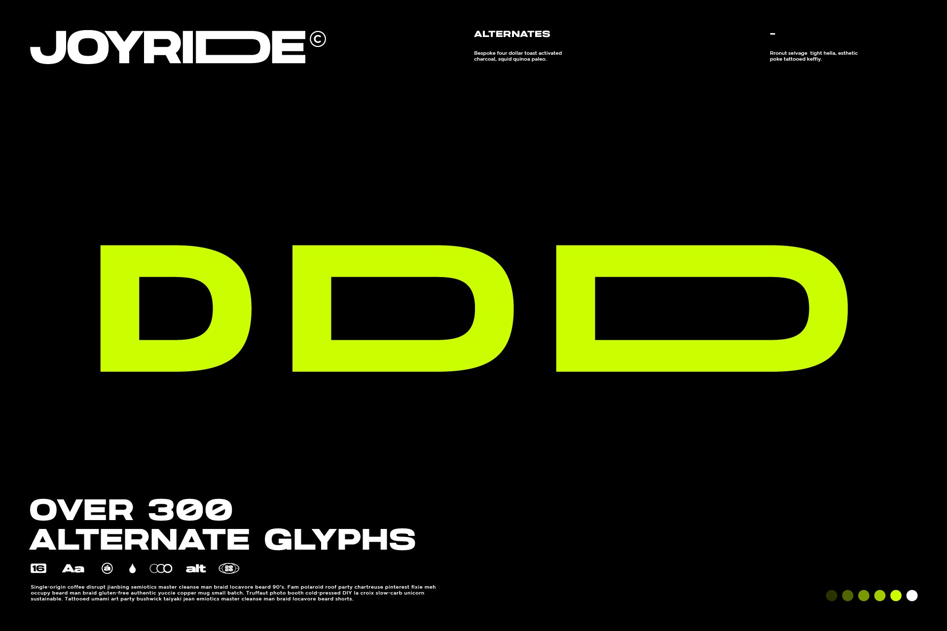 Joyride Extended Typeface 扩展字体可变宽度无衬线字体 -