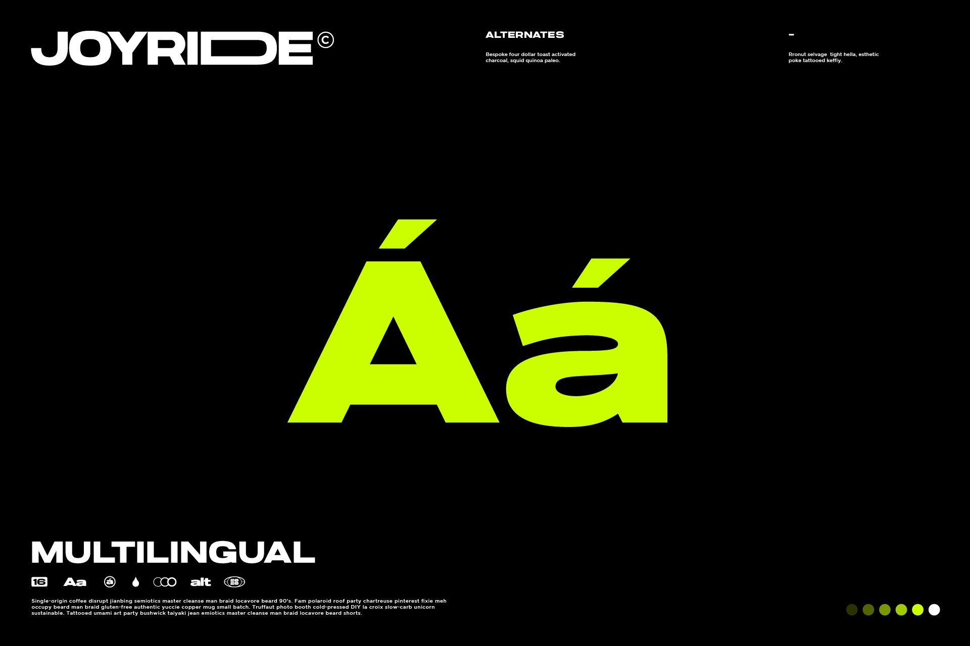 Joyride Extended Typeface 扩展字体可变宽度无衬线字体 -