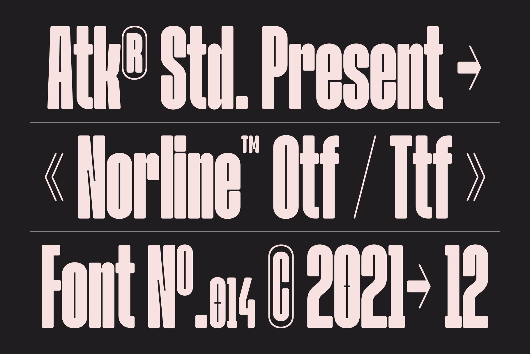 Norline - Font Family 现代清晰易读 新的粗体无衬线字体 -