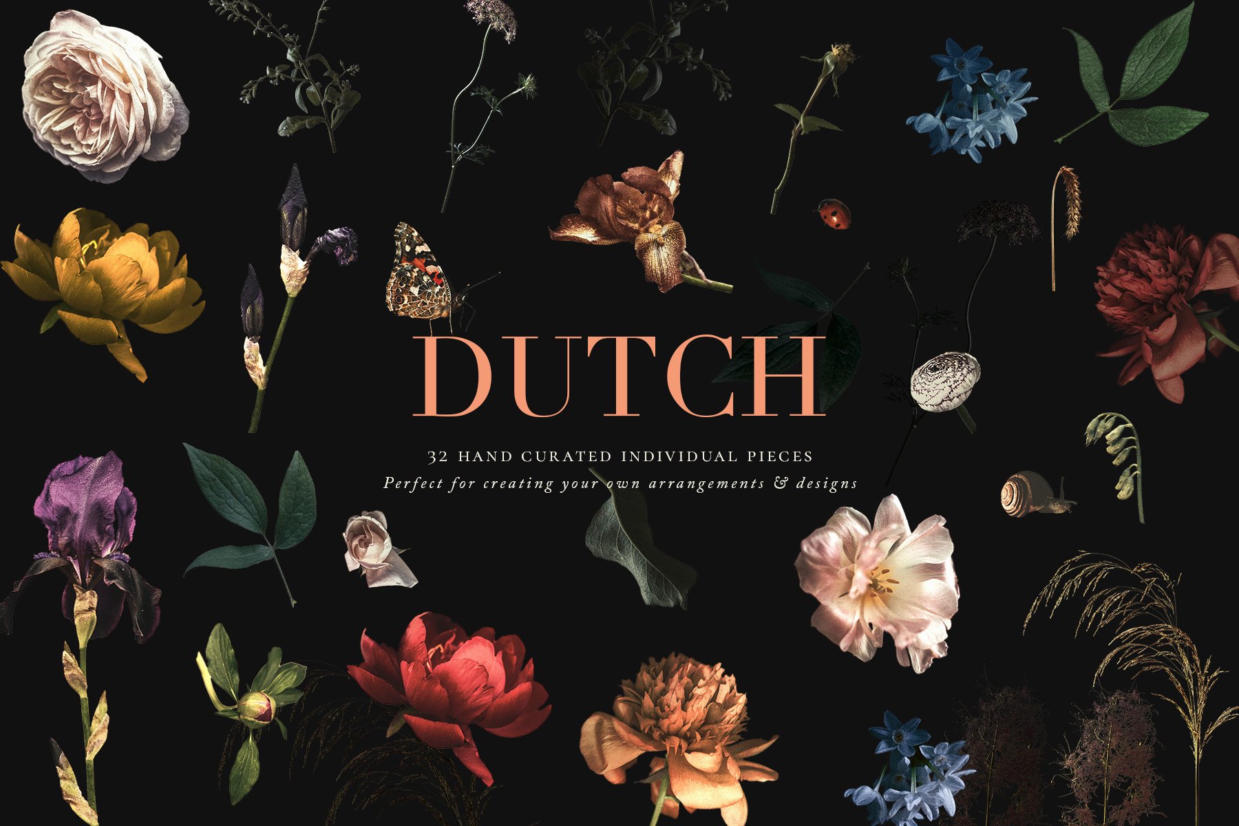 Vintage Floral Clip Art - Dutch 复古花卉剪贴画PNG图形 -