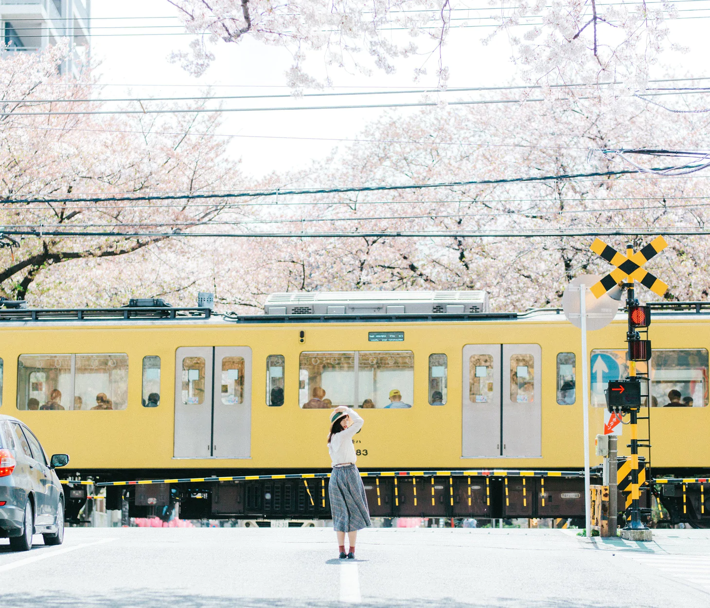 日本摄影师酒井貴弘 -  Tokyo/Japan 日系胶片摄影人像写真风光人文扫街怀旧清新LR预设 -