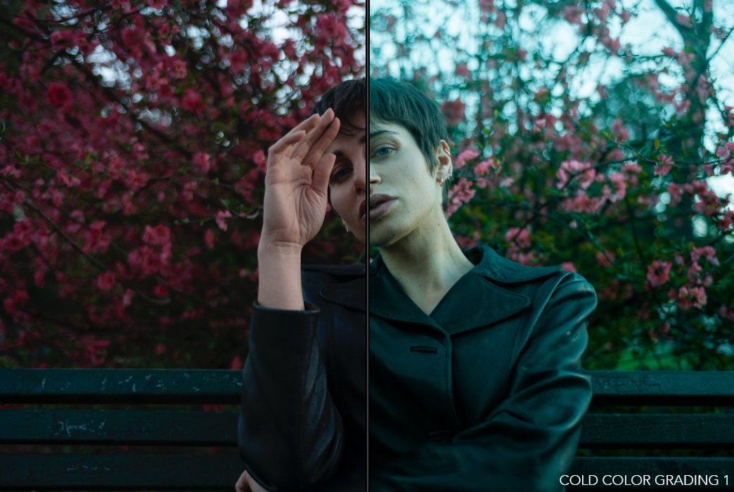 PAOLO BARRETTA 冷色分级调色预设 IAMWINTER COLOR GRADING PRESETS（5062） -