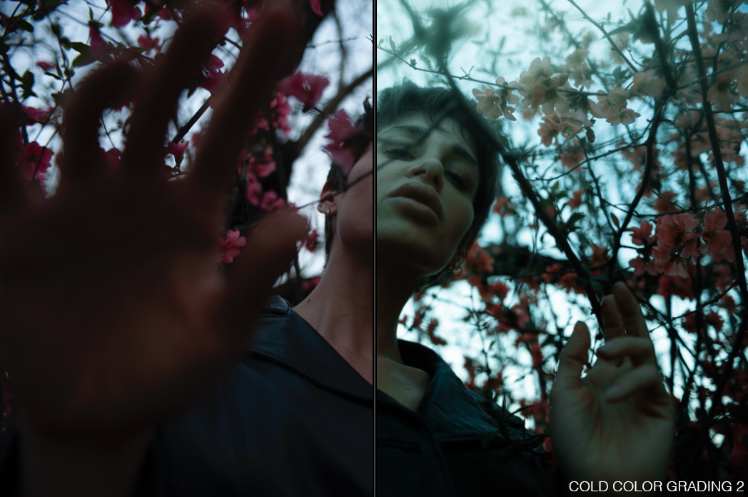 PAOLO BARRETTA 冷色分级调色预设 IAMWINTER COLOR GRADING PRESETS（5062） -