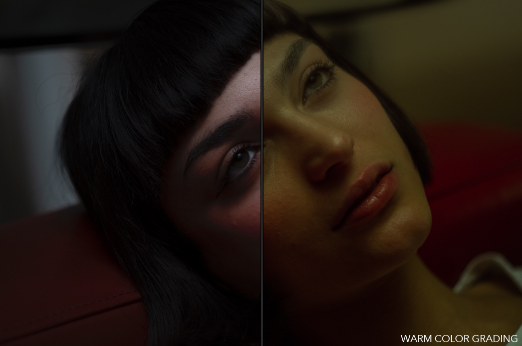 PAOLO BARRETTA 冷色分级调色预设 IAMWINTER COLOR GRADING PRESETS（5062） -