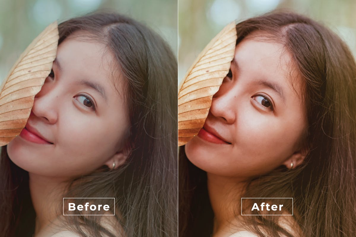 erlin Desktop and Mobile Lightroom Preset（3989） -