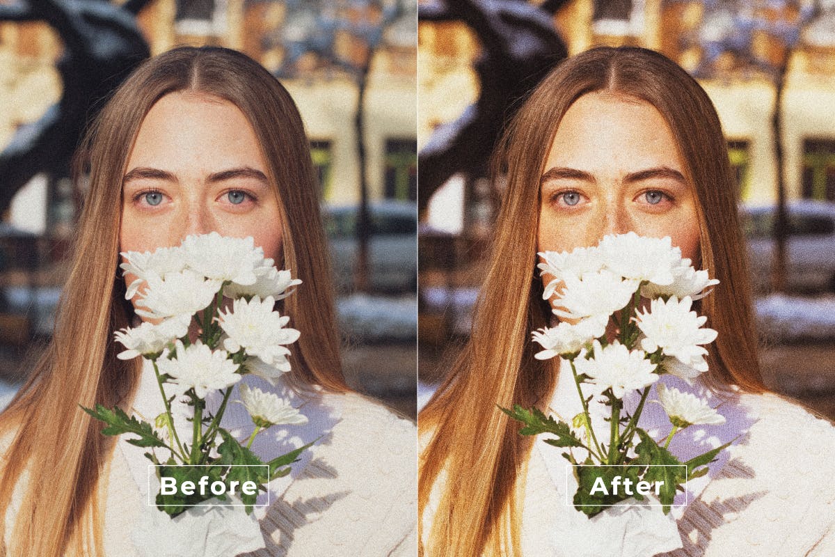 erlin Desktop and Mobile Lightroom Preset（3989） -