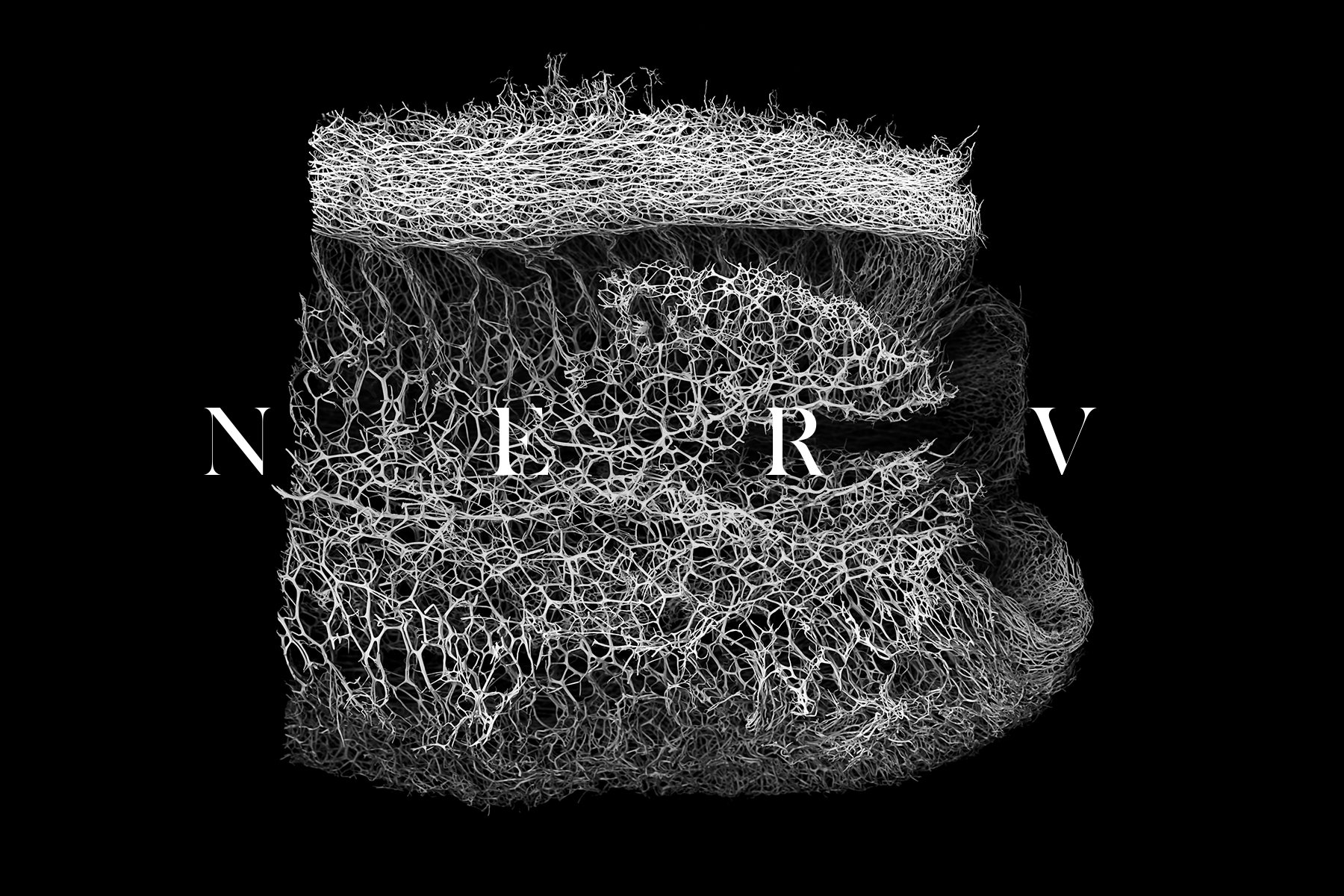 高级质感反射神经纹理PNG套装 30 NERV Textures vol.1（4016） -