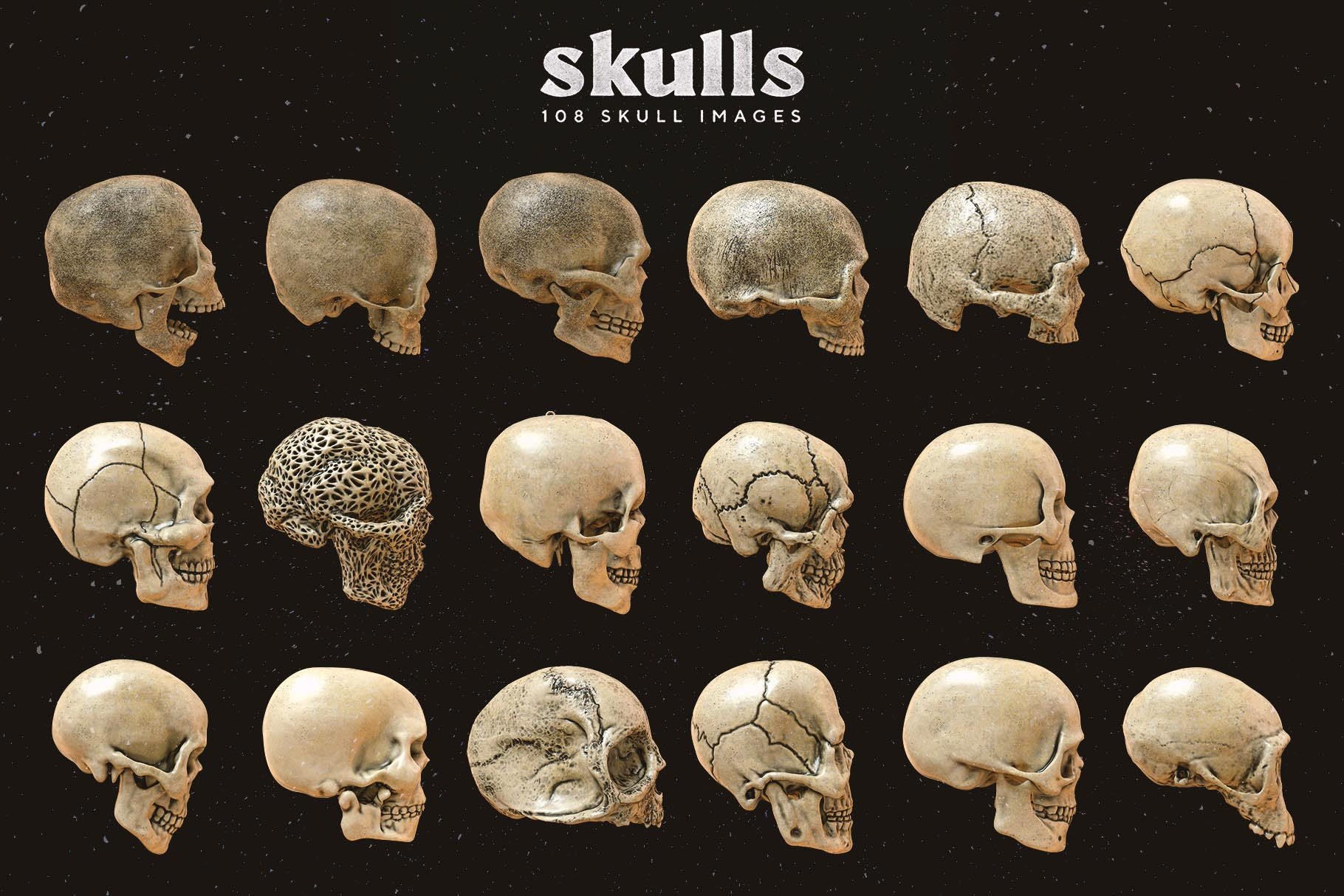 Skulls 108个高分辨率头骨逼真骨骼金属纹理PNG素材（4280） -