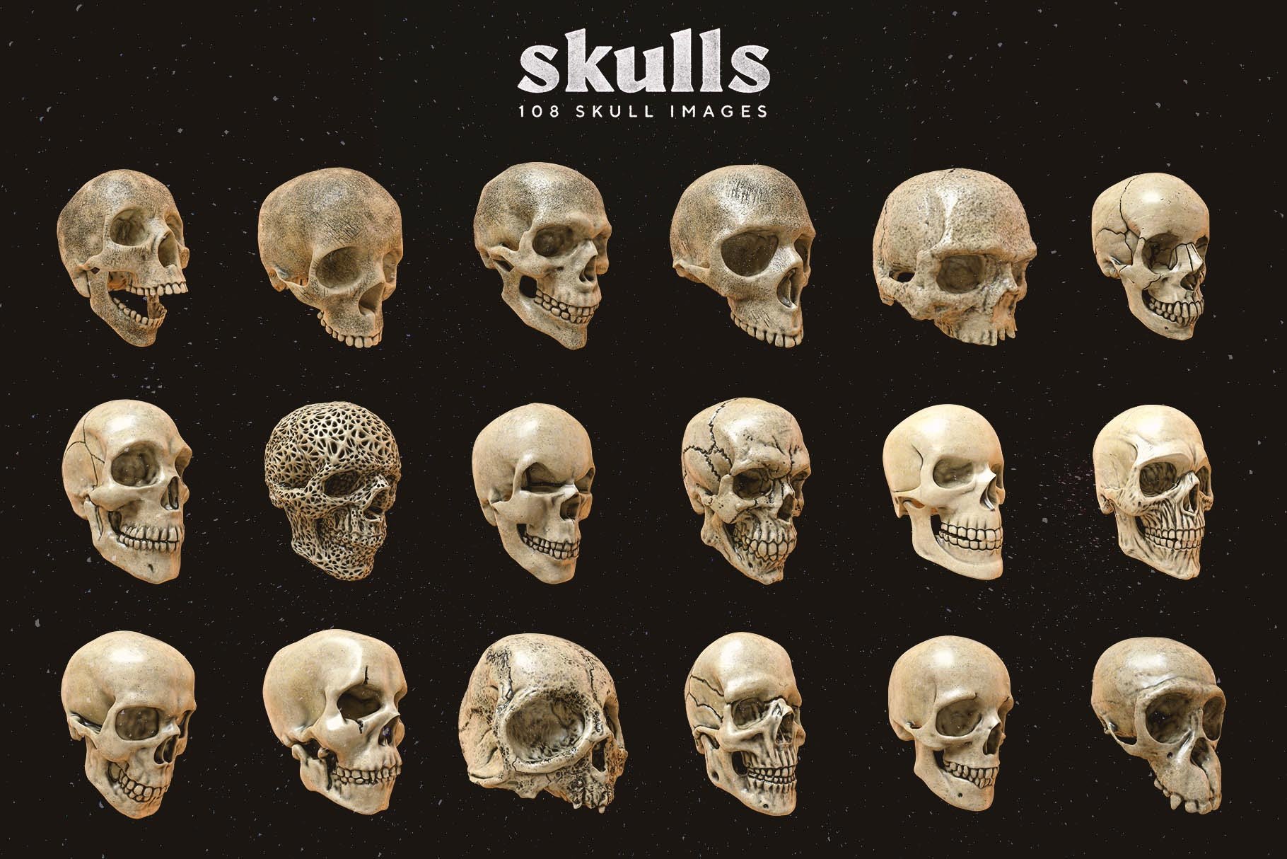 Skulls 108个高分辨率头骨逼真骨骼金属纹理PNG素材（4280） -