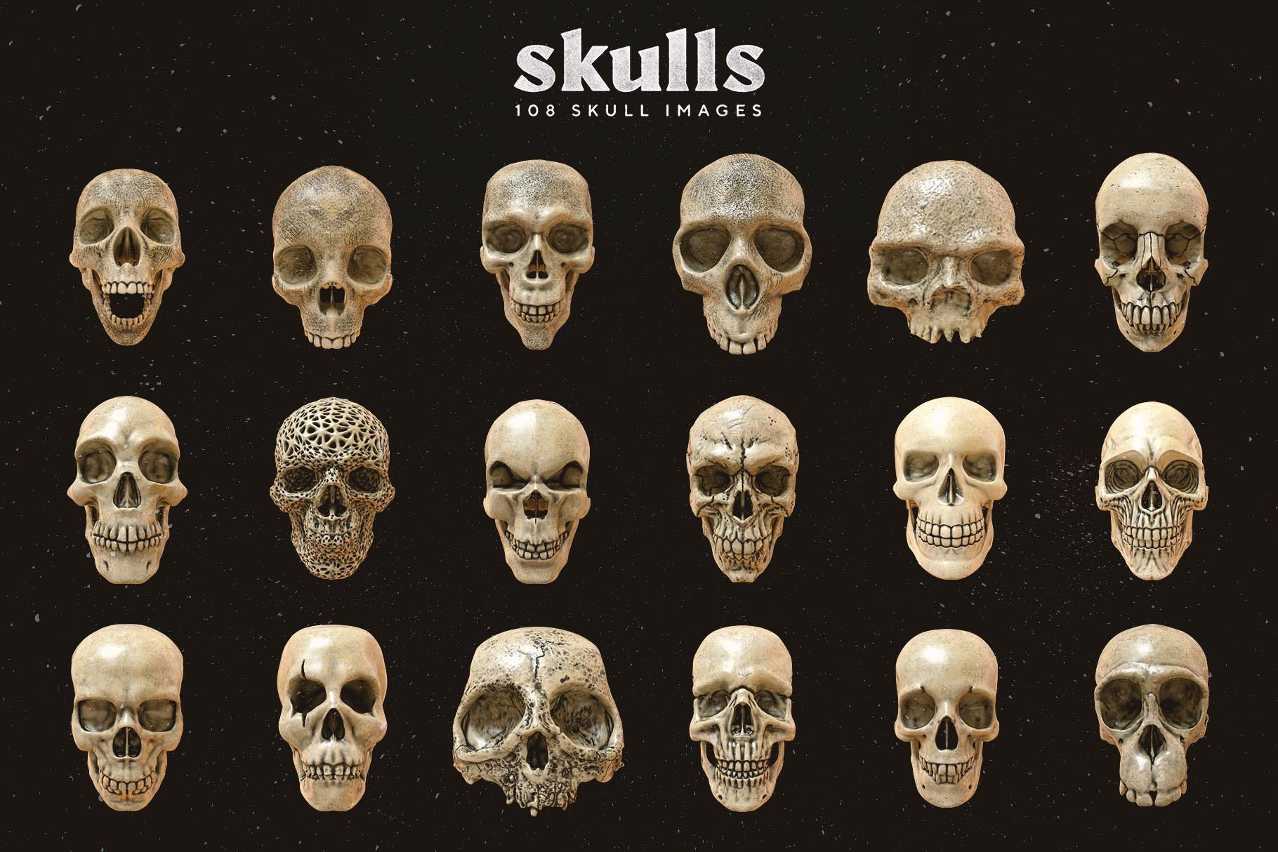 Skulls 108个高分辨率头骨逼真骨骼金属纹理PNG素材（4280） -